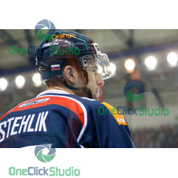 stehlik