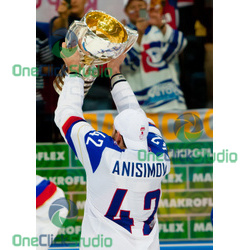 anisimov