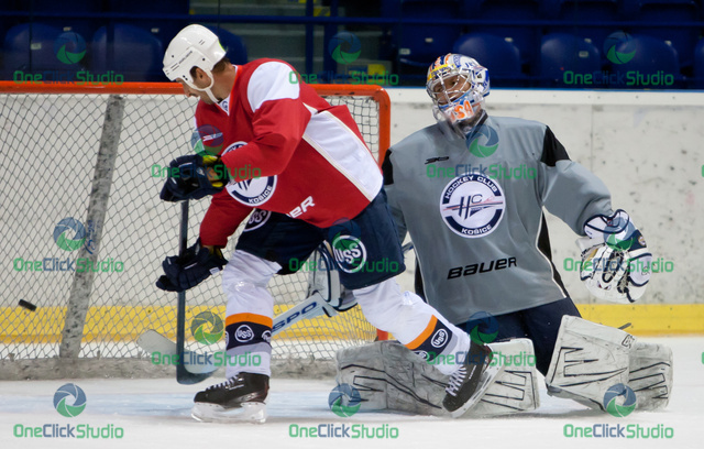 bartos hylak
