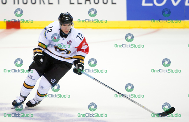 donskoi