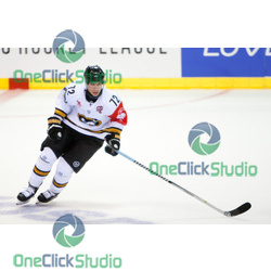donskoi