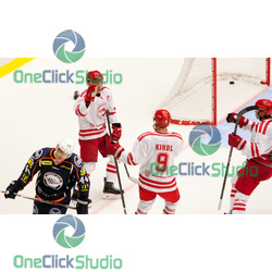polansky kindl