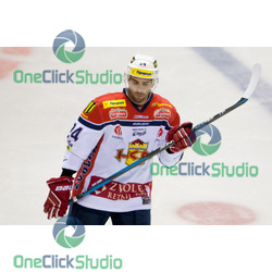 pichnarcik