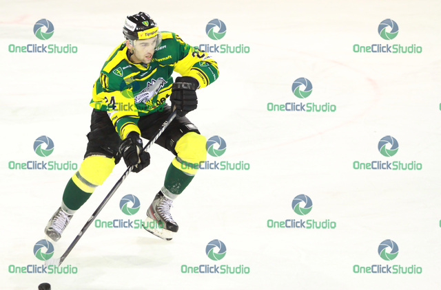 novotny