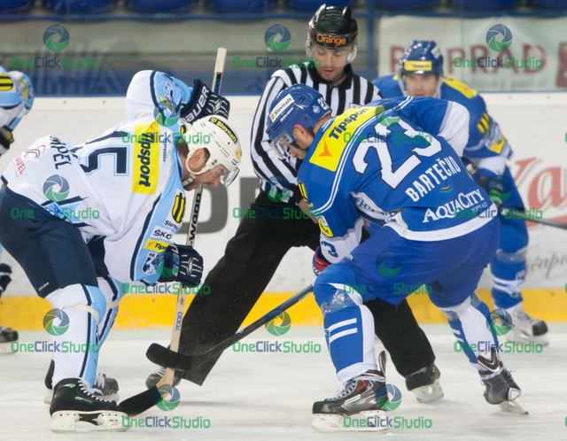 stumpel bartecko