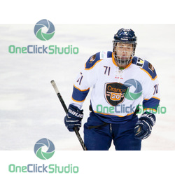 michalek