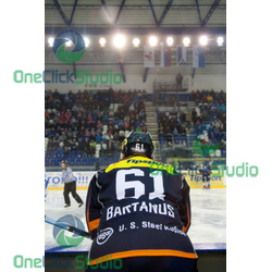 bartanus