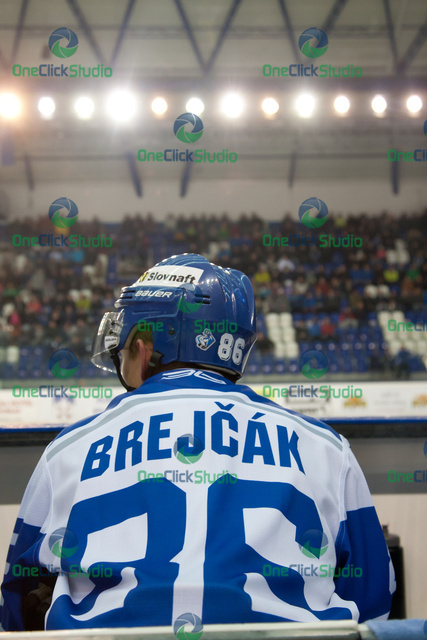 daniel brejcak 1