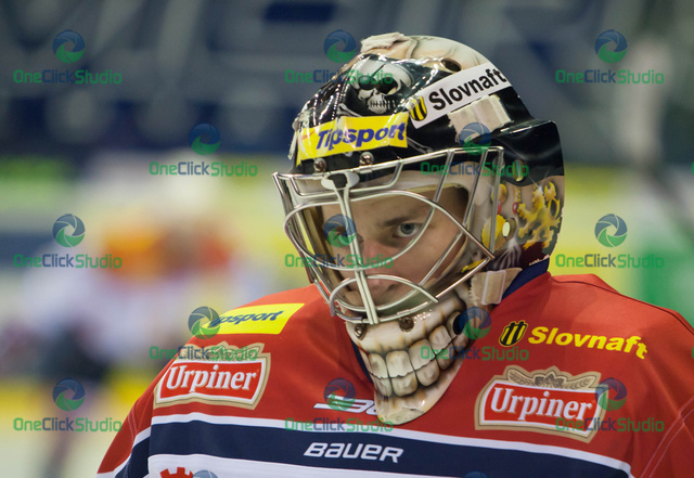 roman petrik