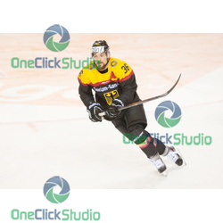 seidenberg