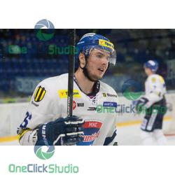tomas torok