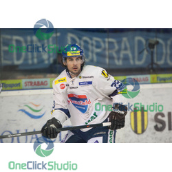 macho michal