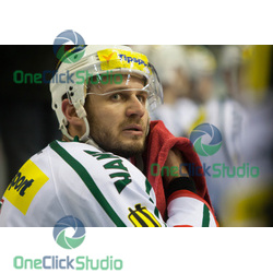 pavel brendl