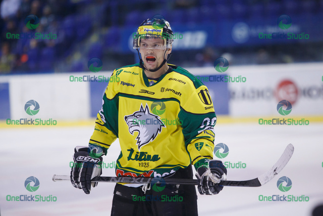 stanek