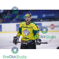 stanek