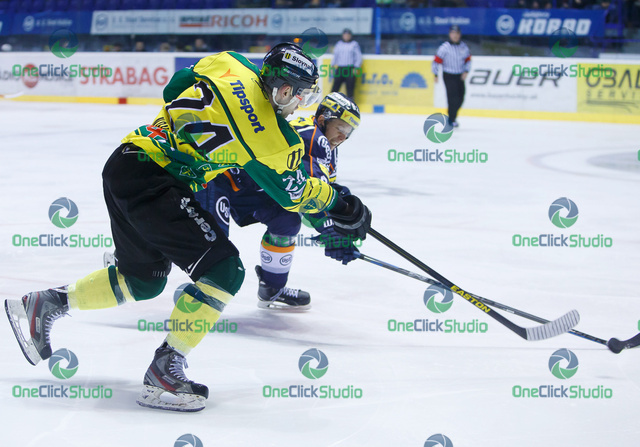 novotny seda