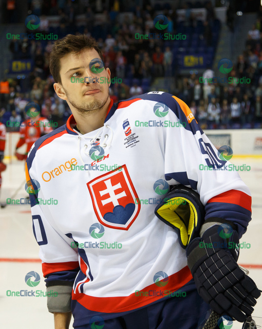 libor hudacek