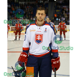 radoslav tybor