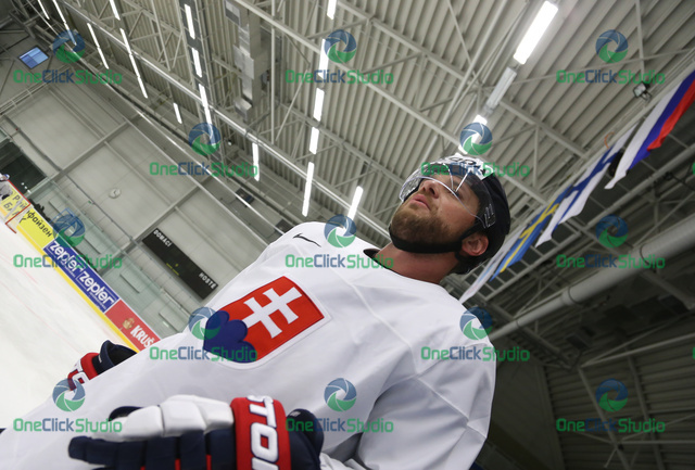 gaborik