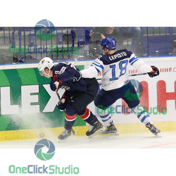 eichel lepisto