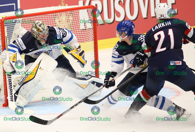 rinne larkin