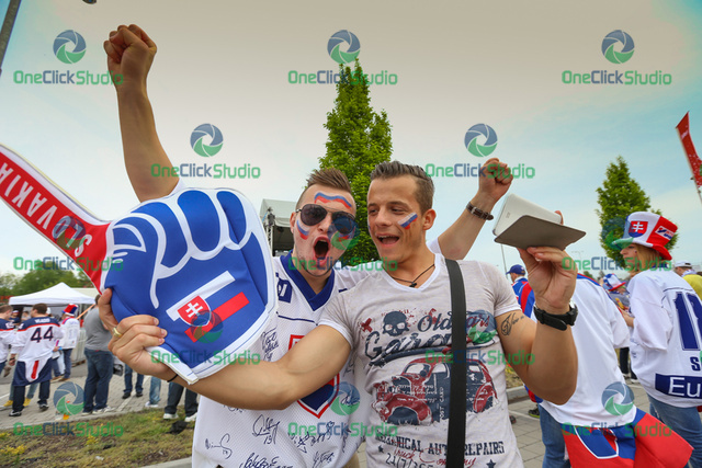 fanusikovia slovenska 45
