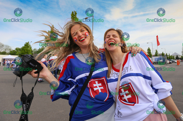 fanusikovia slovenska 8