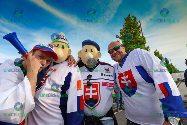 fanusikovia slovenska 9