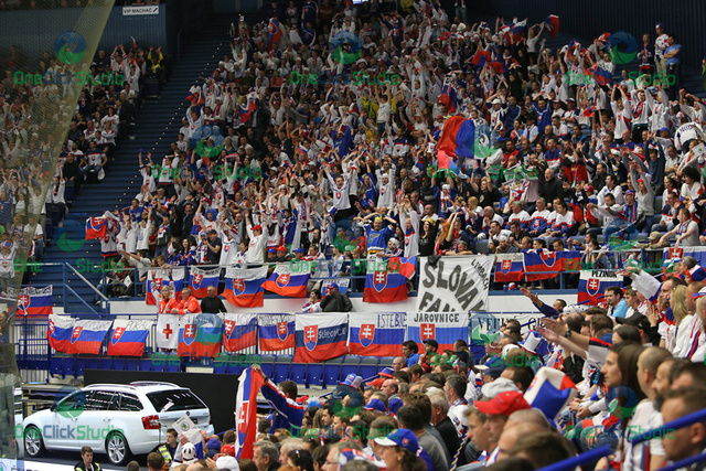 fanusikovia slovenska
