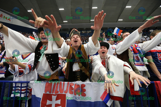 fanusikovia slovenska 11