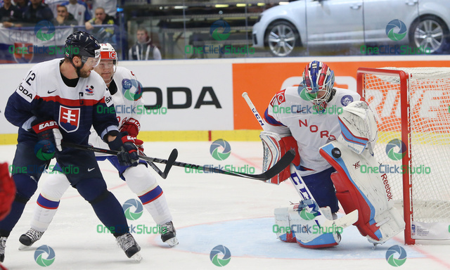 gaborik haugen
