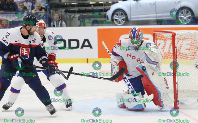 gaborik haugen