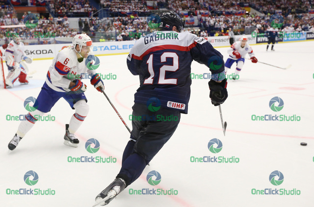 holos gaborik
