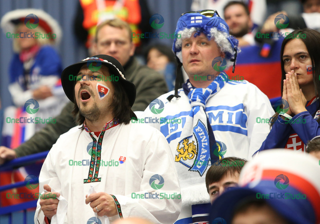 fanusikovia slovenska a finska