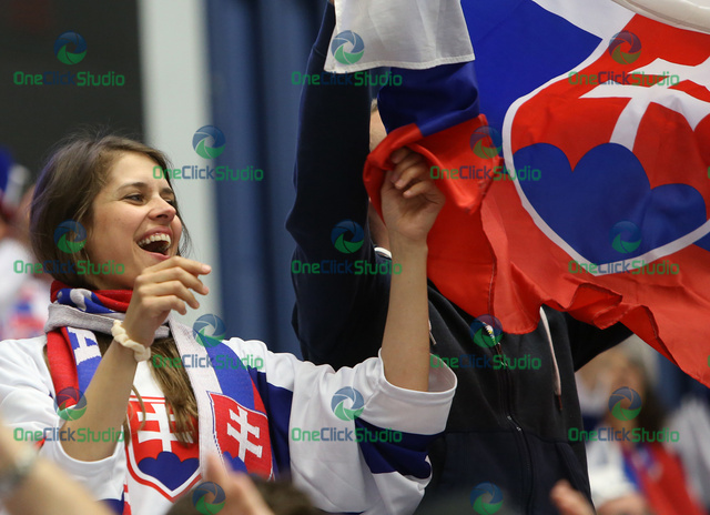 fanusicka slovenska