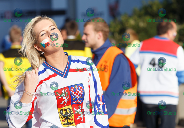 fanusicka ceska
