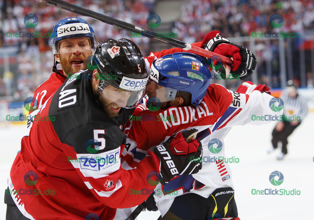 novotny ekblad koukal