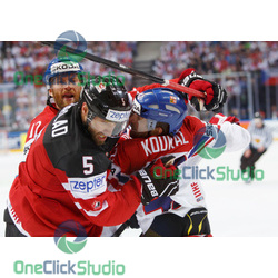 novotny ekblad koukal