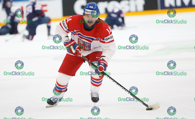 plekanec