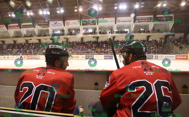 zednik handzus