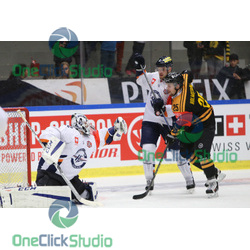 melichercik holmstrom dudas