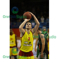 sasa avramovic