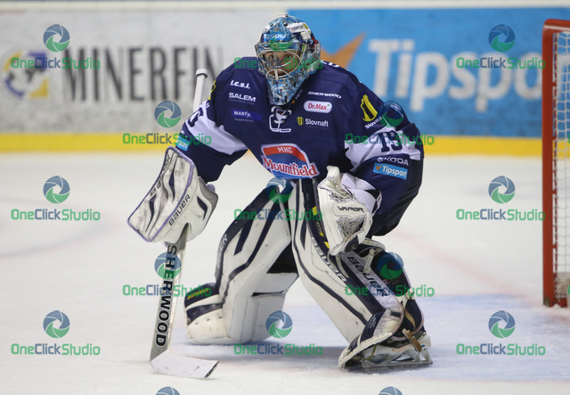 dzubina michal