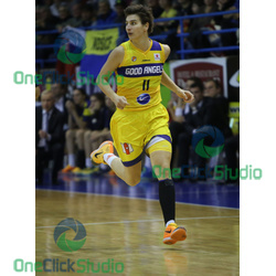 stehlikova