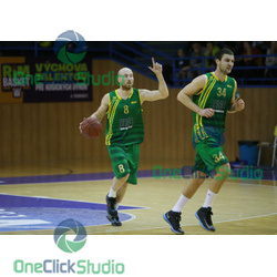 ziak stojadinovic