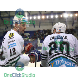 skoliak zalesak