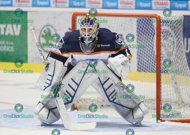 tomas halasz