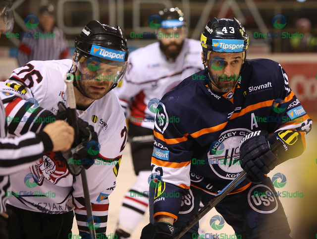 Handzus Bartoš
