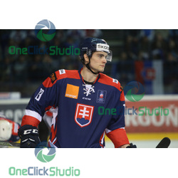 Michal Hlinka