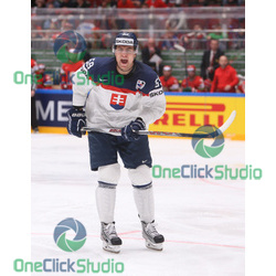 andrej stastny